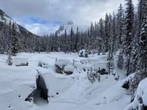 Schnee
